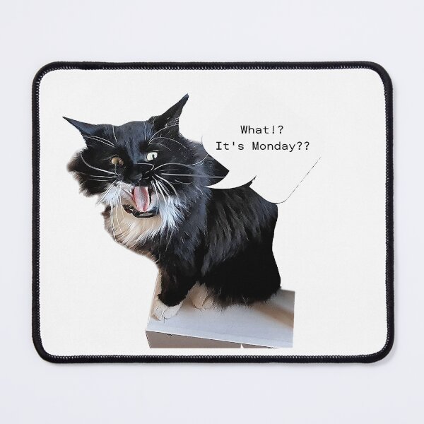 Item preview, What!? It's Monday?? Mr. Darcy, tuxedo cat designed and sold by Sandy Maya's Artwork.