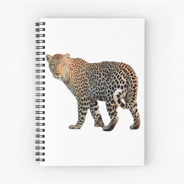 Item preview,  Looking for leopard shirt/leopard clothing/leopard accessories designed and sold by Printoweb.