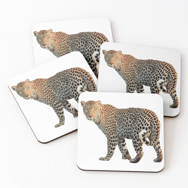 Item preview,  Looking for leopard shirt/leopard clothing/leopard accessories designed and sold by Printoweb.