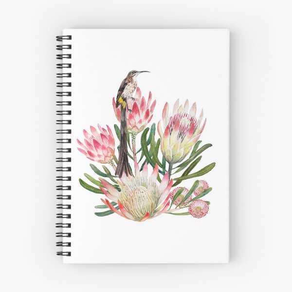 Item preview, Sugarbird Suikerbossie Protea Repens painting designed and sold by Leanne  Nowell.
