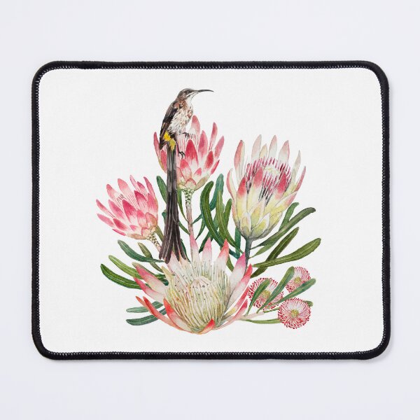 Item preview, Sugarbird Suikerbossie Protea Repens painting designed and sold by Leanne Nowell.