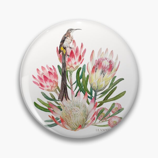 Item preview, Sugarbird Suikerbossie Protea Repens Watercolour background designed and sold by Leanne  Nowell.
