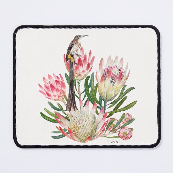 Item preview, Sugarbird Suikerbossie Protea Repens Watercolour background designed and sold by Leanne Nowell.