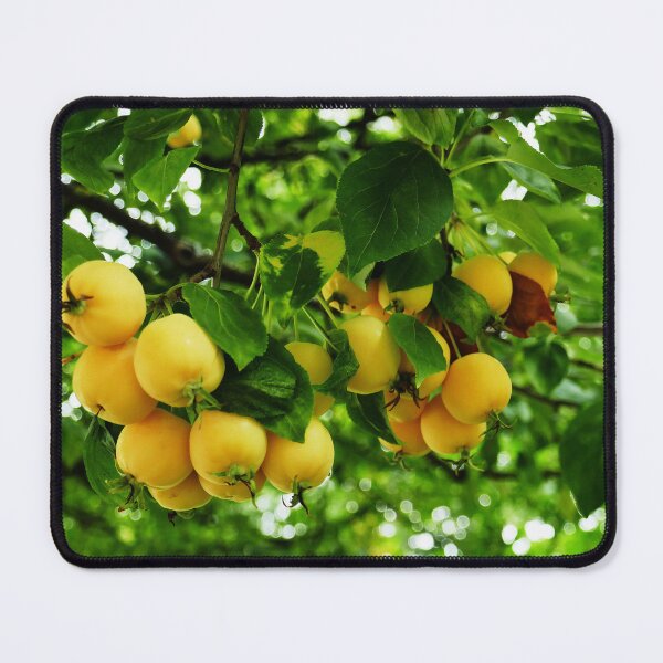 Item preview, Apple tree designed and sold by Bluesrose.