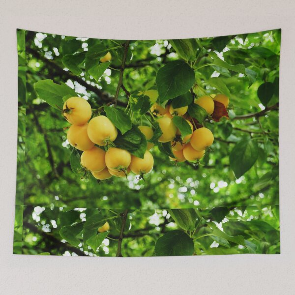 Item preview, Apple tree designed and sold by Bluesrose.