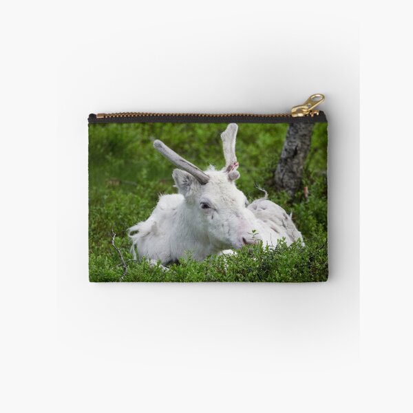 Item preview, The white reindeer designed and sold by Jouko Lehto Photography.
