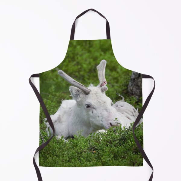 Item preview, The white reindeer designed and sold by Jouko Lehto Photography.