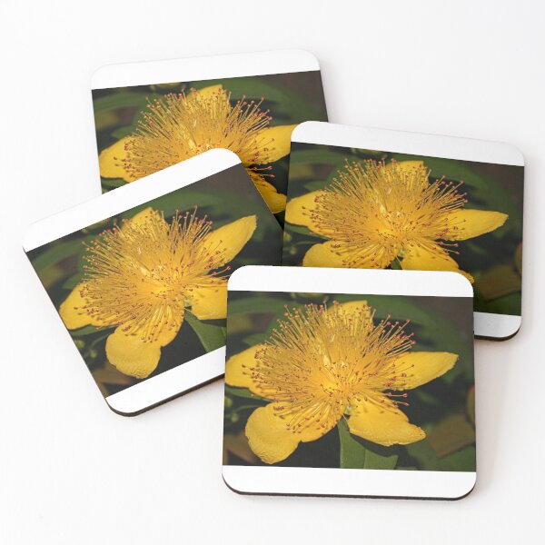Item preview, Blossoms of Color designed and sold by vernonplatt.