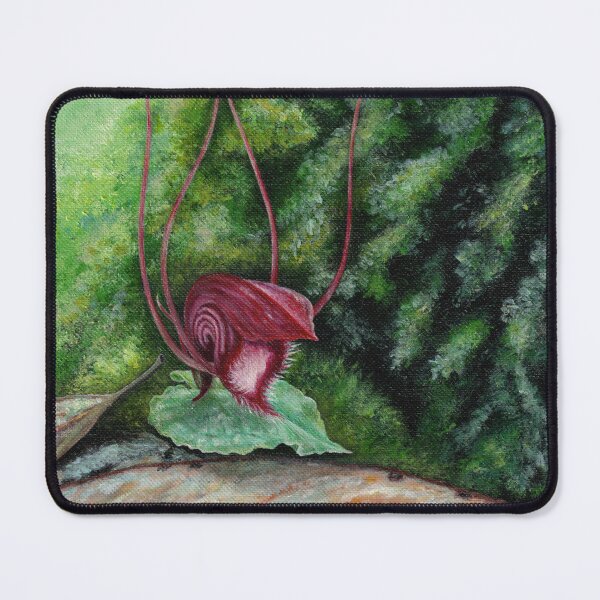 Item preview, Orchid Corybas annamensis designed and sold by Anna Ratkevich.