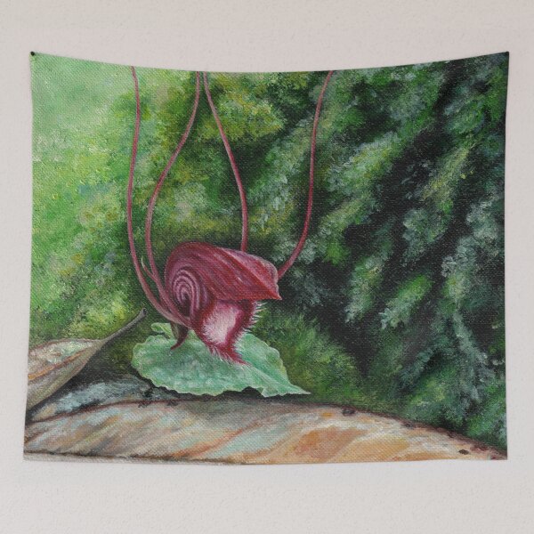 Item preview, Orchid Corybas annamensis designed and sold by Anna Ratkevich.