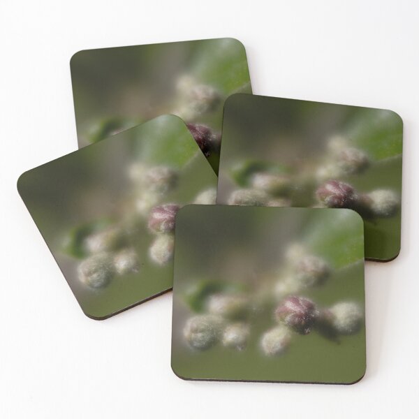 Item preview, Photinia designed and sold by Calidris Fotografie Steffi & Ben Köppler.
