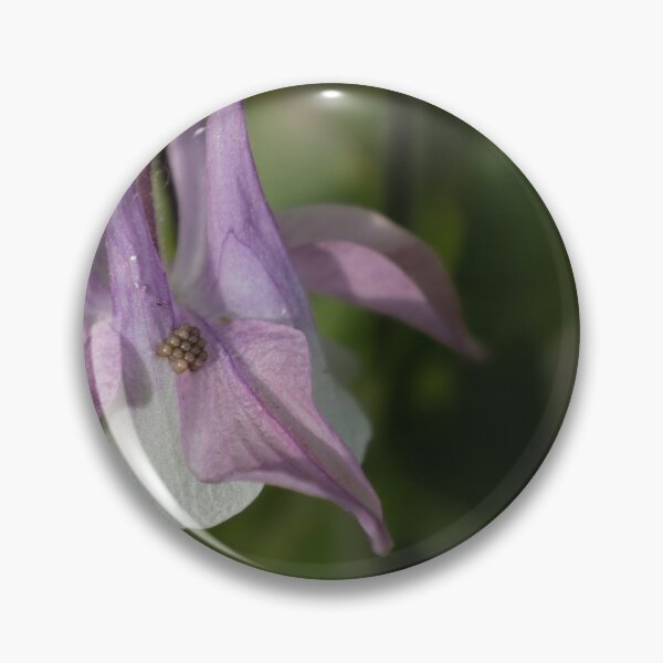 Item preview, Columbine designed and sold by Calidris Fotografie Steffi & Ben Köppler.