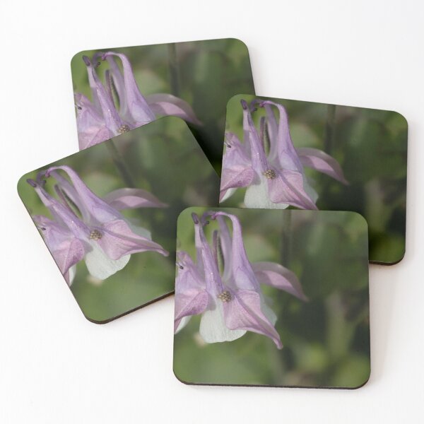 Item preview, Columbine designed and sold by Calidris Fotografie Steffi & Ben Köppler.