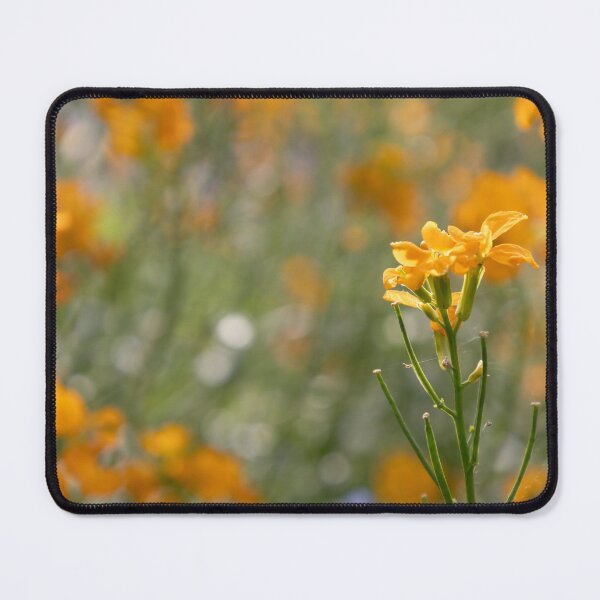 Item preview, Yellow flower designed and sold by Calidris Fotografie Steffi & Ben Köppler.
