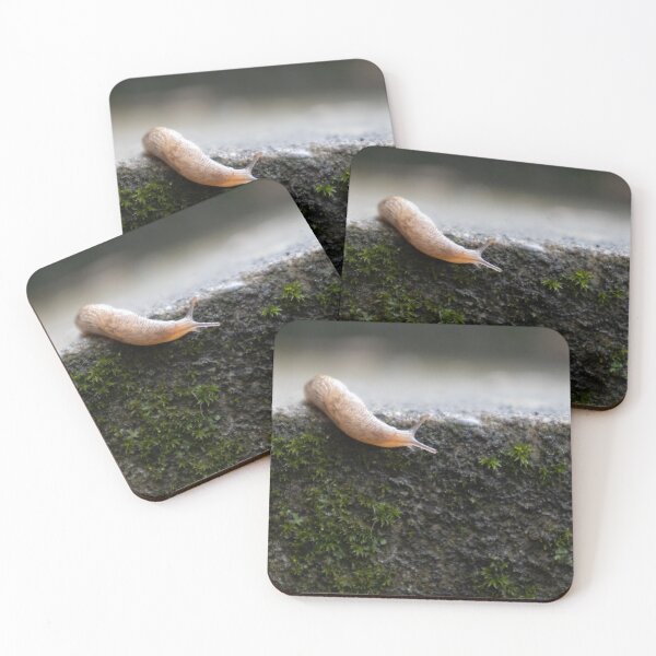 Item preview, Slug designed and sold by Calidris Fotografie Steffi & Ben Köppler.