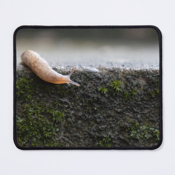 Item preview, Slug designed and sold by Calidris Fotografie Steffi & Ben Köppler.