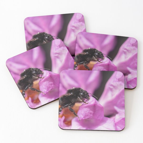 Item preview, Red-tailed bumblebee on Rhododendron designed and sold by Calidris Fotografie Steffi & Ben Köppler.