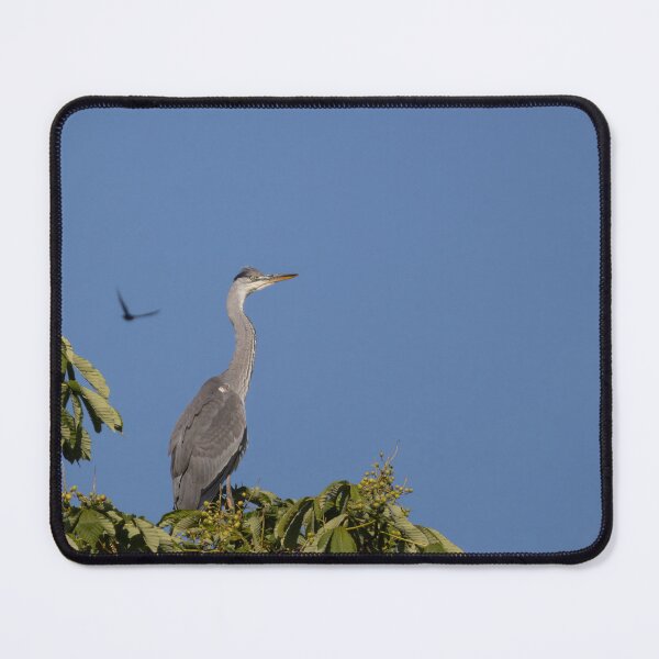 Item preview, Grey Heron designed and sold by Calidris Fotografie Steffi & Ben Köppler.
