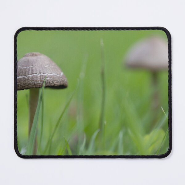 Item preview, Little Mushrooms designed and sold by Calidris Fotografie Steffi & Ben Köppler.