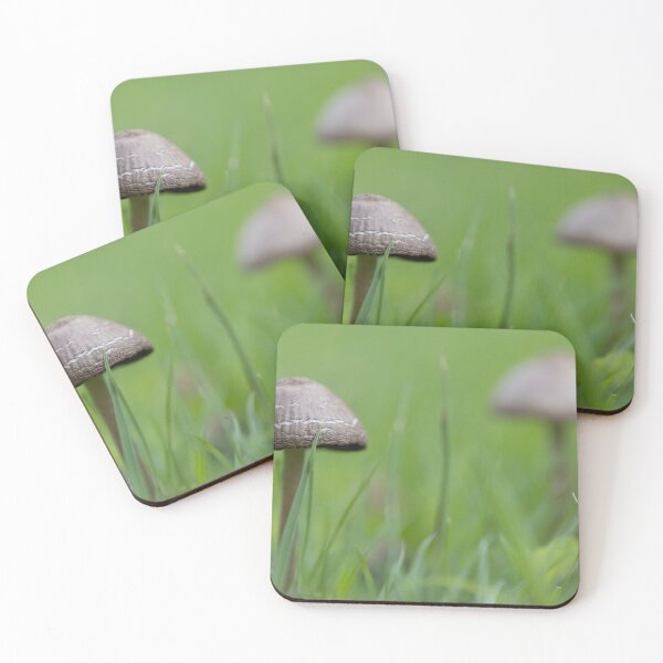 Item preview, Little Mushrooms designed and sold by Calidris Fotografie Steffi & Ben Köppler.