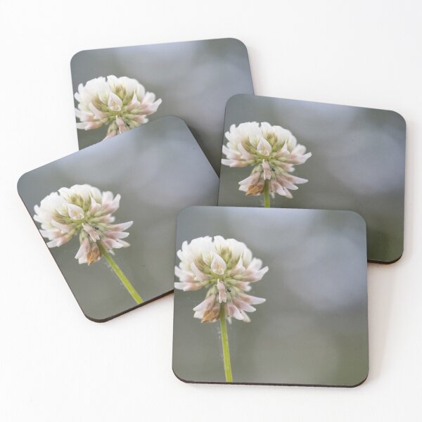 Item preview, White clover designed and sold by Calidris Fotografie Steffi & Ben Köppler.