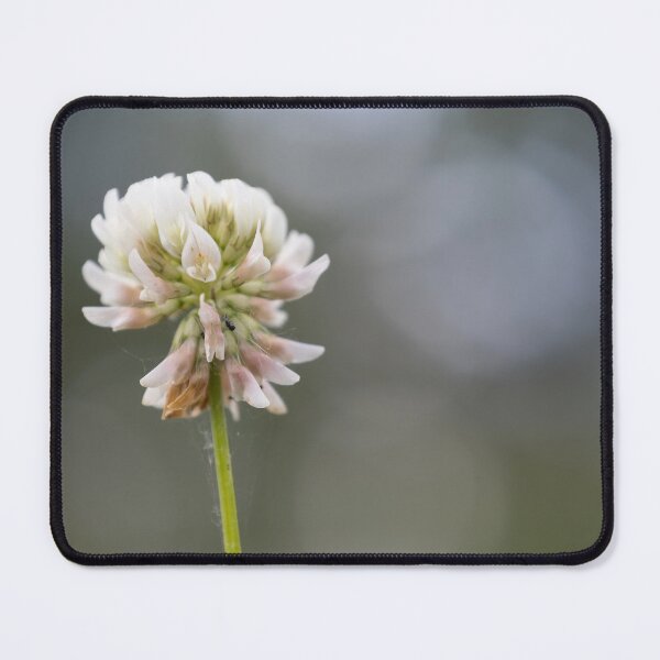 Item preview, White clover designed and sold by Calidris Fotografie Steffi & Ben Köppler.