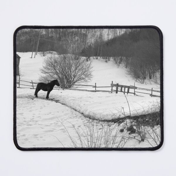 Item preview, 2009 Cavallo nero sul Colle del Melogno designed and sold by robertoferrero.