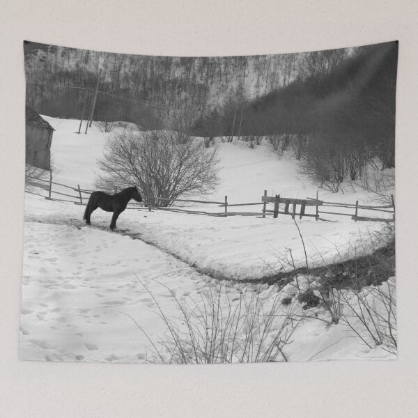 Item preview, 2009 Cavallo nero sul Colle del Melogno designed and sold by robertoferrero.