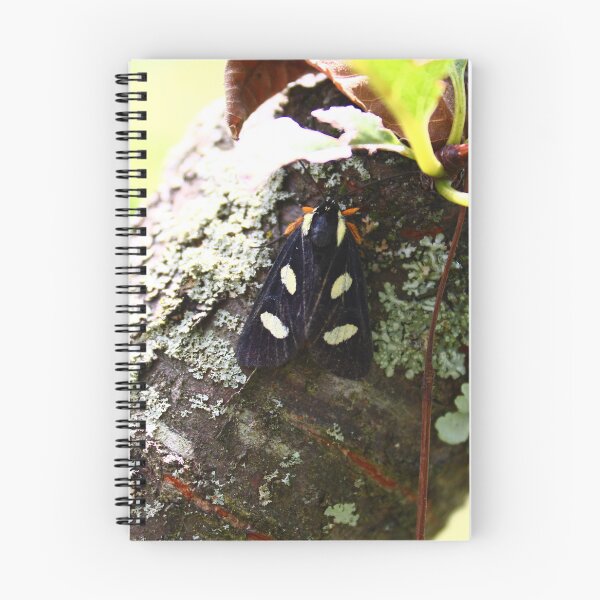 Item preview, The eight-spotted Forester moth designed and sold by McFleur's Lens.