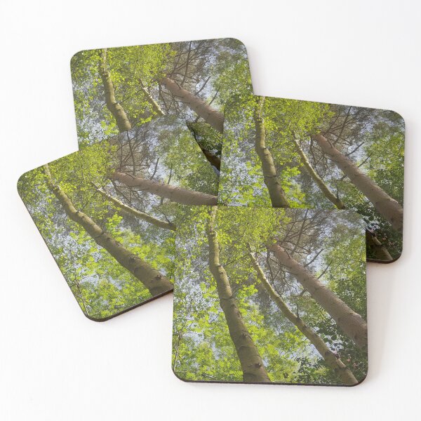 Item preview, Trees in Camberley, Surrey from Below – Majestic Treetop View designed and sold by ThatSurreyLife.