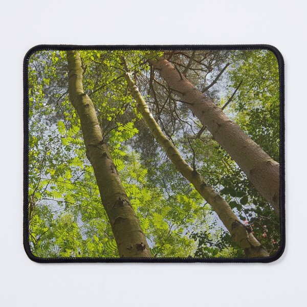 Item preview, Trees in Camberley, Surrey from Below – Majestic Treetop View designed and sold by ThatSurreyLife.