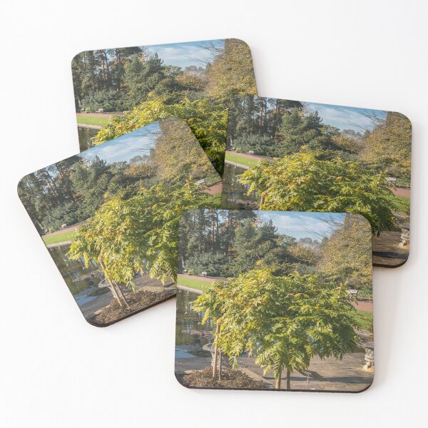 Item preview, Trees at RHS Wisley, Surrey, England, UK – Botanical Beauty designed and sold by ThatSurreyLife.