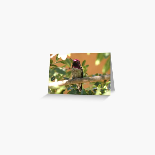 Anna's Greeting Card