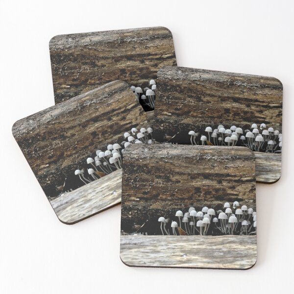 Item preview, Gray Mushroom Friends designed and sold by DyrneSefa.