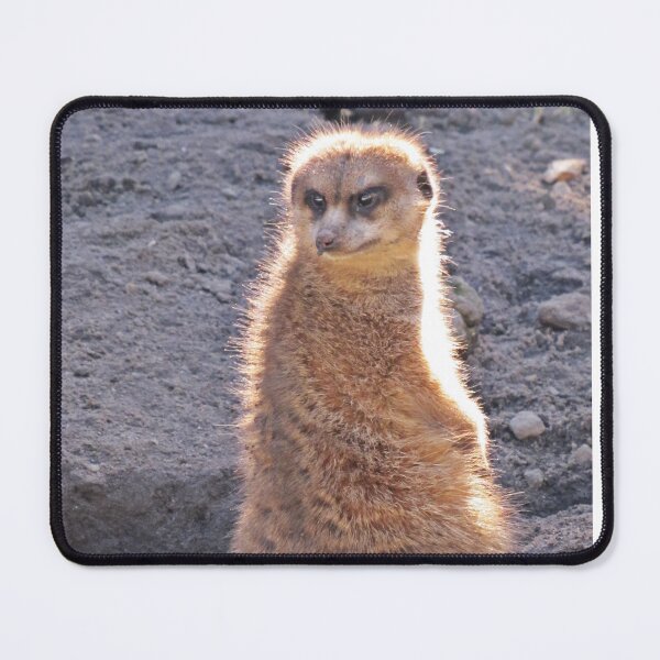 Item preview, Munchkin Meerkat with the sun behind designed and sold by BiodiversityRocks.