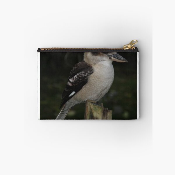 Item preview,  de un par de Kookaburra que se han mudado allí. Llueva y brille designed and sold by Jacqueline  Murphy.