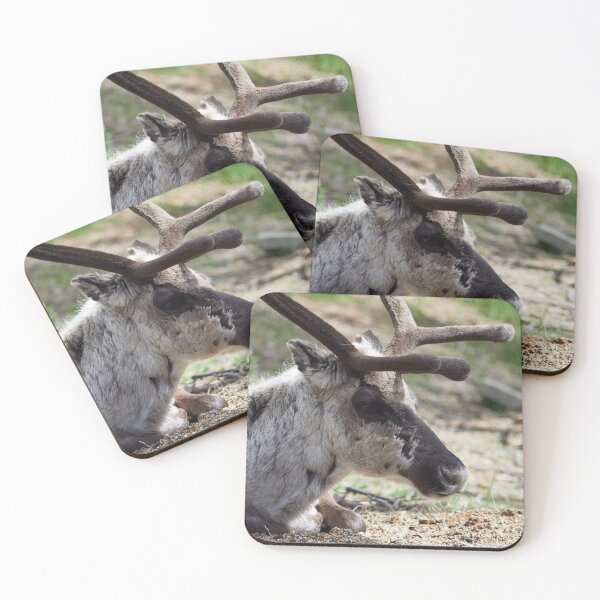 Item preview, Deep in the thoughts. Reindeer designed and sold by Jouko Lehto Photography.