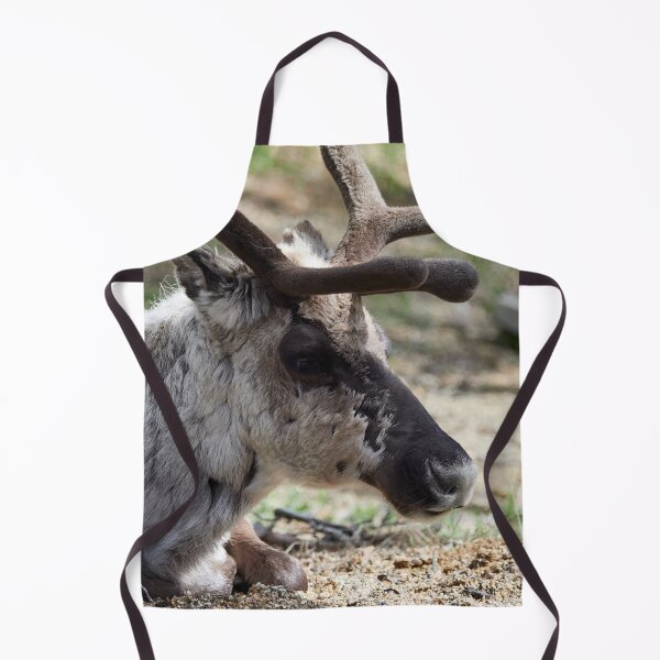 Item preview, Deep in the thoughts. Reindeer designed and sold by Jouko Lehto Photography.