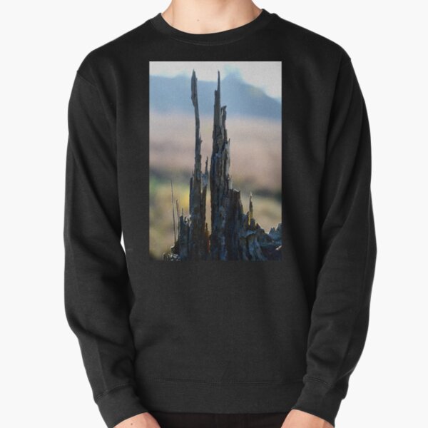 Pointing to the Sky, Tree stump Detail. Pullover Sweatshirt