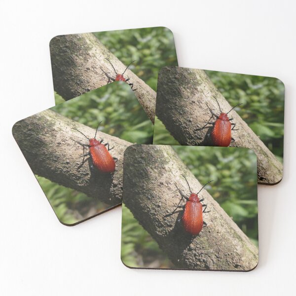 Item preview, Cardinal Beetle on twig, UK designed and sold by JonDelorme.