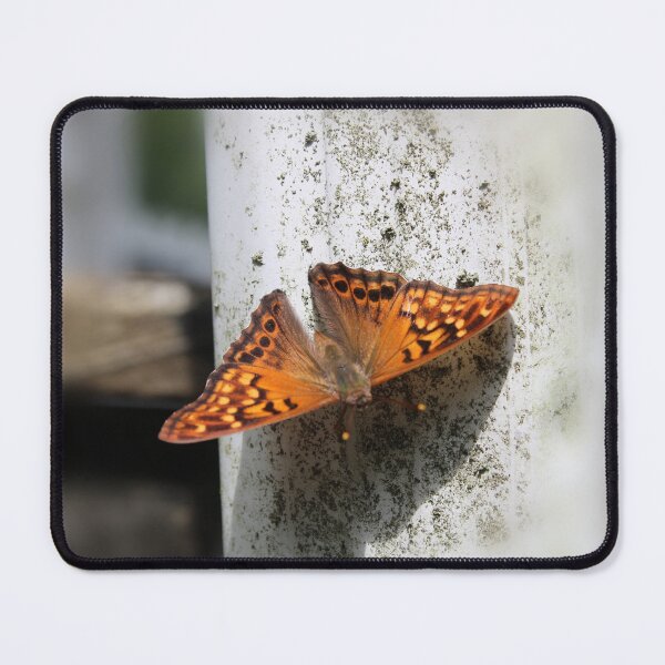 Item preview, Tawny emperor butterfly  designed and sold by McFleur's Lens.