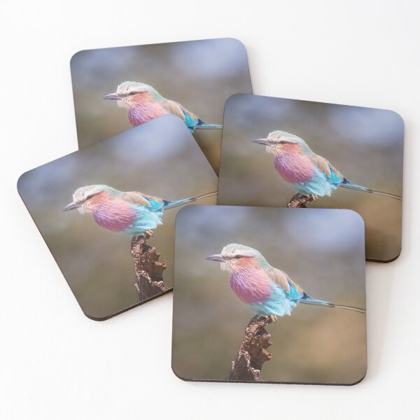 Item preview, Lilac-Breasted Roller Tanzania 2 designed and sold by PhotoArt by Joan Carroll.