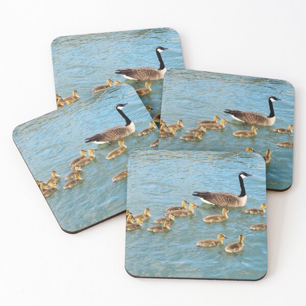Item preview, Canada Goose Parent Swimming With Its Goslings designed and sold by BackyardBirder.