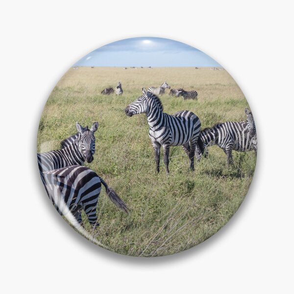 Item preview, Zebra Train Tanzania designed and sold by PhotoArt by Joan Carroll.