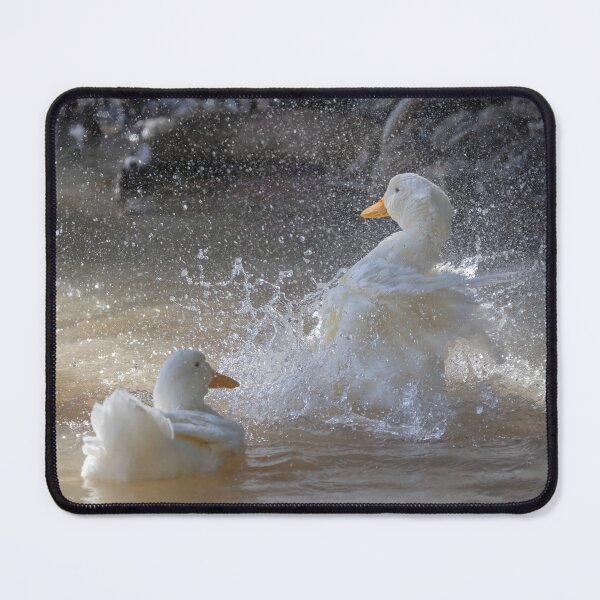 Item preview, Duck Bath designed and sold by CarolM.