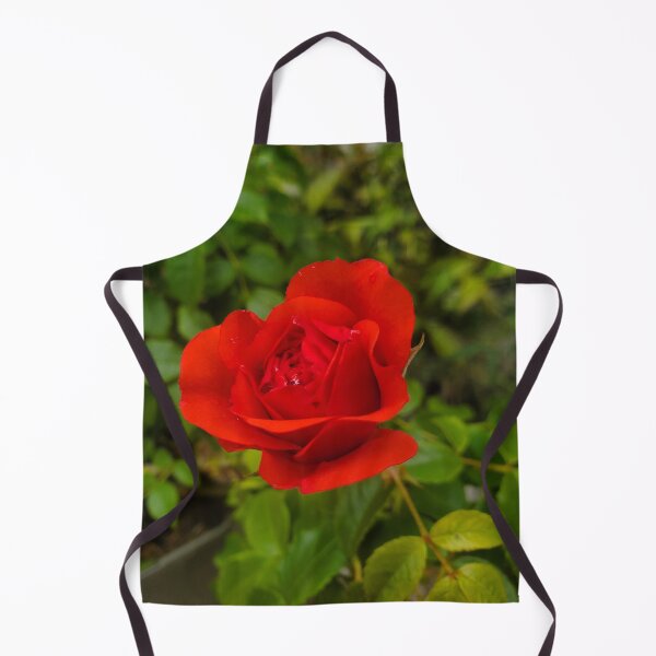 Item preview, Beautiful Rose designed and sold by Vicki Spindler (VHS Photography).