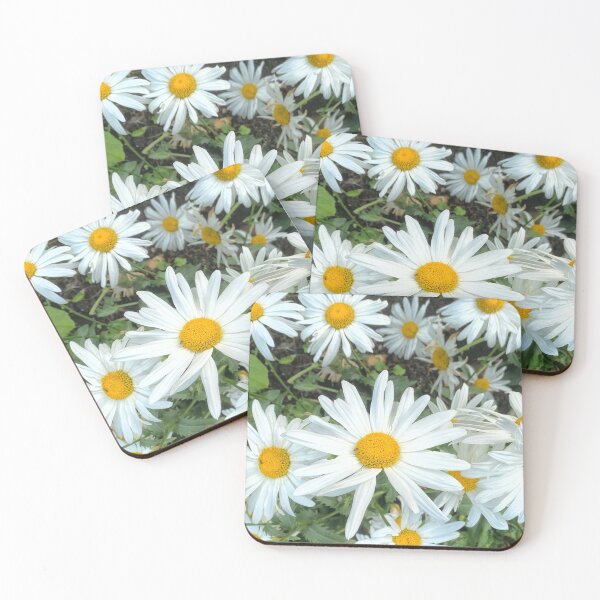Item preview, Ox-eye Daisies in Summer Sunshine designed and sold by Violaman.