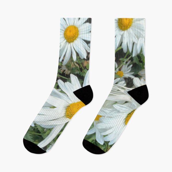 Item preview, Ox-eye Daisies in Summer Sunshine designed and sold by Violaman.