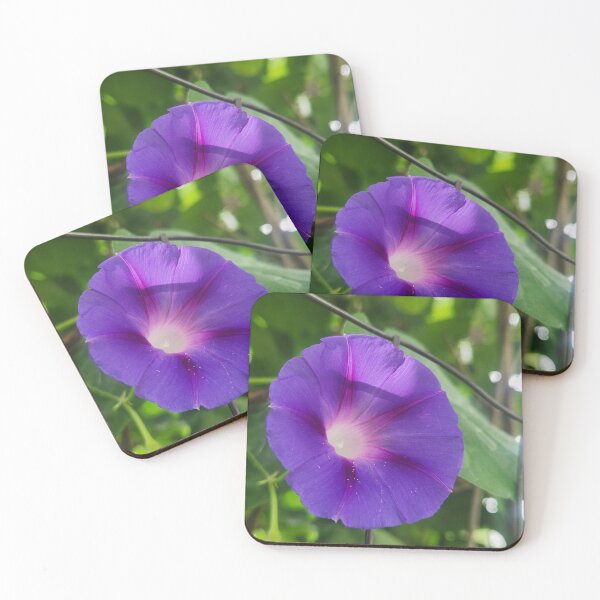 Item preview, Purple beauty  designed and sold by Lildemon93.