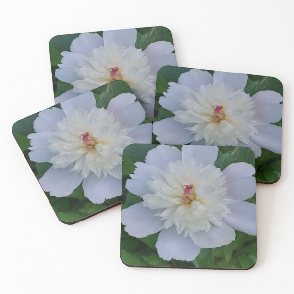 Item preview, White peony designed and sold by CottageartbyDD.